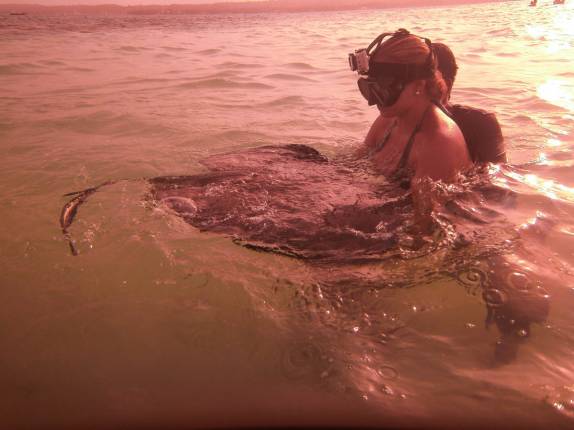 segurando uma arraia em San Andrés, ilha no caribe colombiano